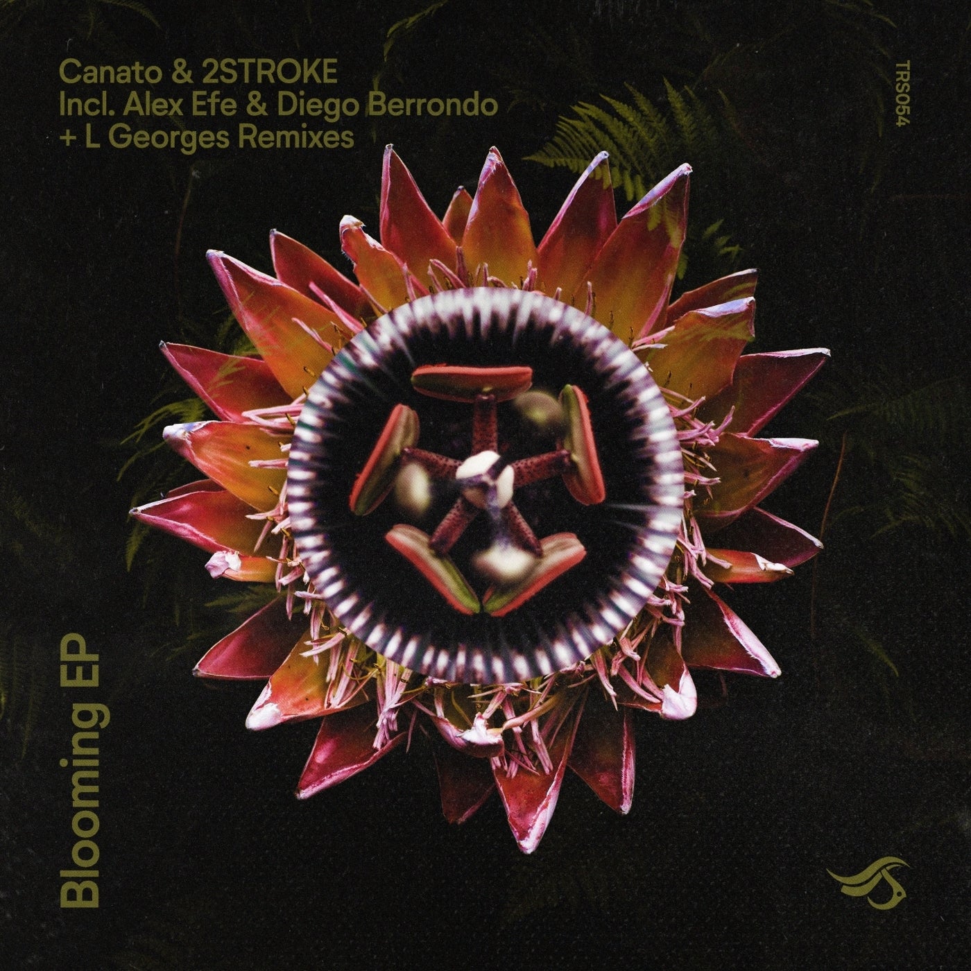 Canato & 2Stroke - Blooming [TRS054]